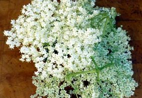Elderflower Cordial